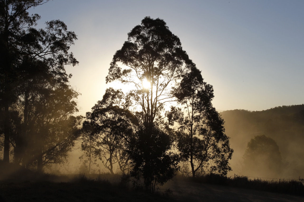 WRC Rally Australia, Coffs Harbour 09 - 13 09 2015